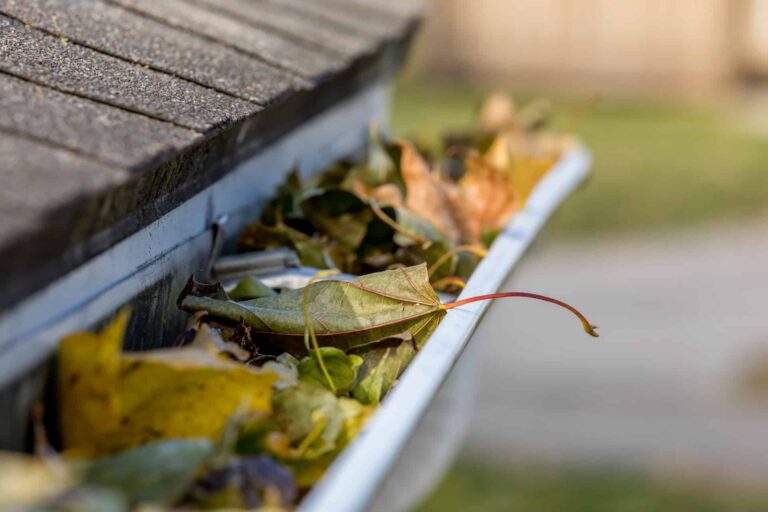 Avoca gutter guards near me